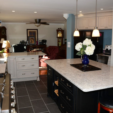 Davidsonville, MD Multi Colored Kitchen Quartz Countertops