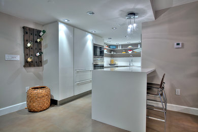 Example of a minimalist kitchen design in Miami