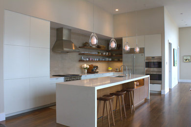 Large minimalist kitchen photo in Denver