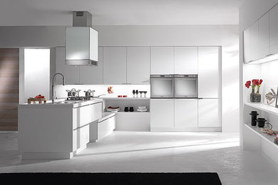 Example of a minimalist kitchen design in Miami