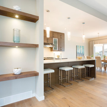 Design Ideas Featuring Urban Effects Cabinetry