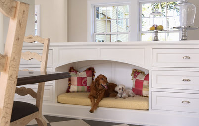 Renovation Detail: The Built-In Dog Bed