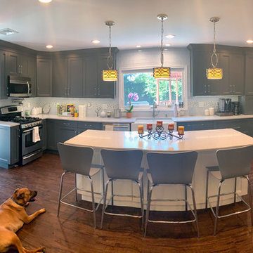 Dog-Friendly Kitchen