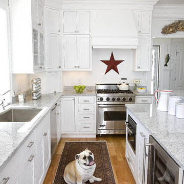 Dog Lover's Kitchen