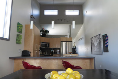 This is an example of a contemporary kitchen in Other.