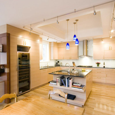 Trendy kitchen photo in Boston with an undermount sink