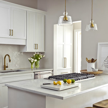 Downtown Chicago Condo Renovation