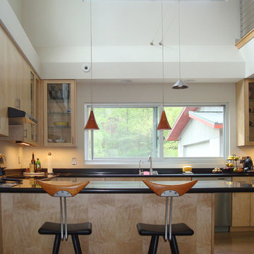 Dramatic Kitchen of Mid-Century Modern Healthy Home