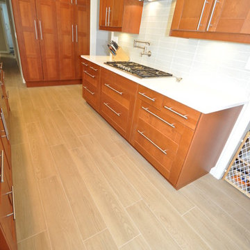Dronkers Residence