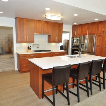 Dronkers Residence