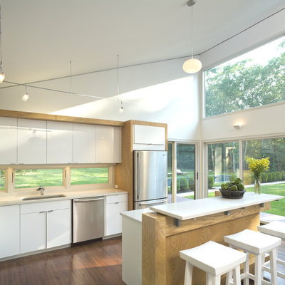 Trendy dark wood floor kitchen photo in New York with an undermount sink, flat-panel cabinets, white cabinets and stainless steel appliances