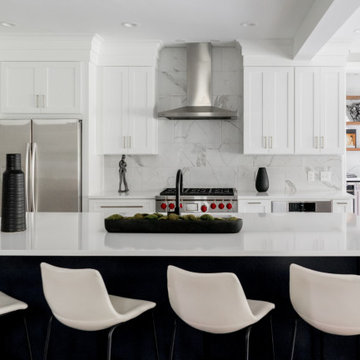 Edgewood White modern kitchen