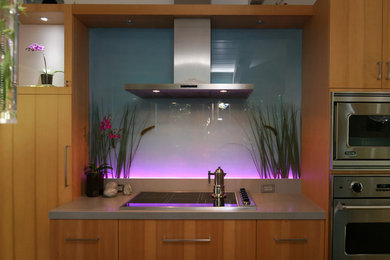 Example of a trendy kitchen design in San Francisco