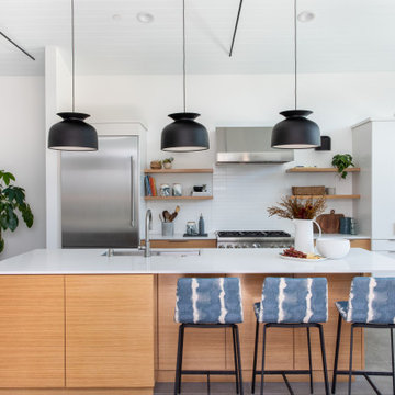 Eichler - Inspired Home