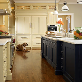 Design ideas for a medium sized classic kitchen in New York with raised-panel cabinets, beige cabinets, integrated appliances, a submerged sink, marble worktops, medium hardwood flooring and an island.