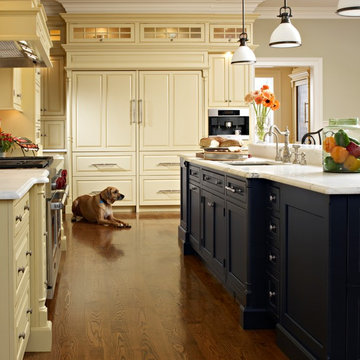 Elegant Kitchens