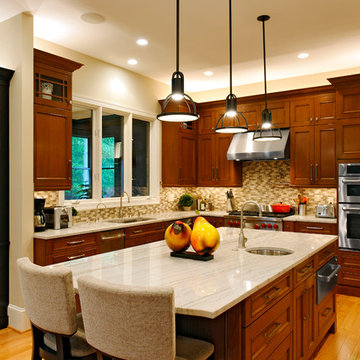 Elegant Oakton Kitchen Dazzles!