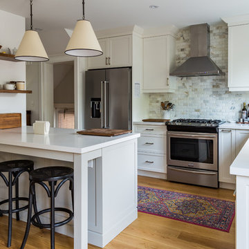 Eleventh Street- Transitional white kitchen