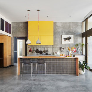 Foto di una cucina industriale di medie dimensioni con ante lisce e pavimento in cemento