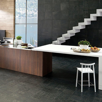 EMOTIONS LINE: E6.90: Roble Torrefacto; Wall and Floor Tile: Antique Black