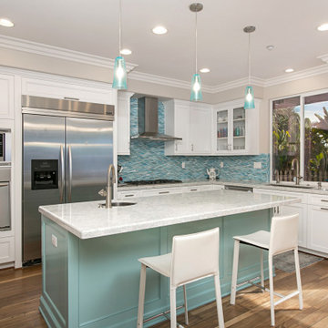 Encinitas Ocean Home