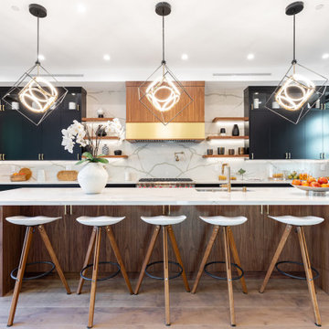 Encino Contemporary Estate
