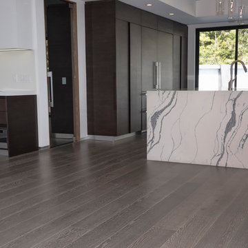 Encino Hilltop Modern Home