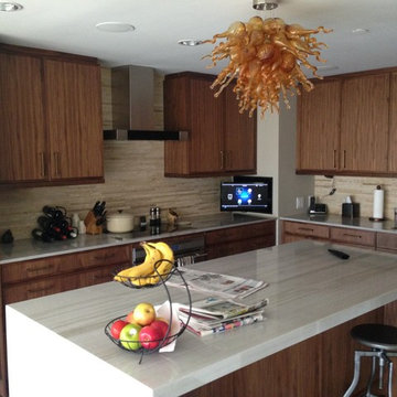 Entertainment System for a Contemporary Kitchen