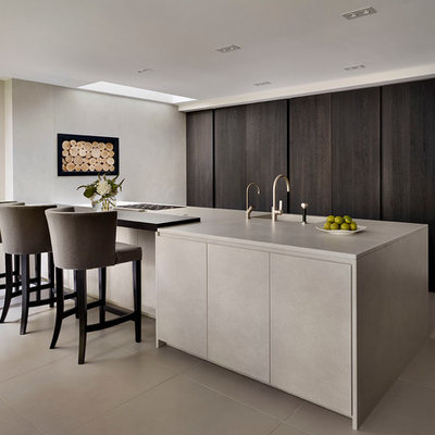 Kitchen - contemporary kitchen idea in London