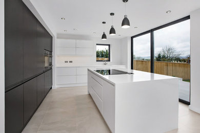 Contemporary kitchen.