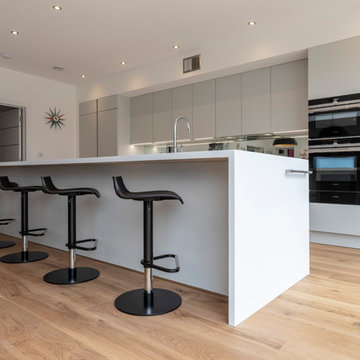 Expansive modern Kitchen/Family Room