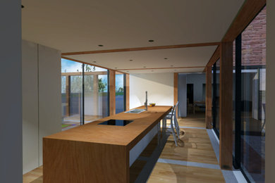 Design ideas for a contemporary kitchen in Other.