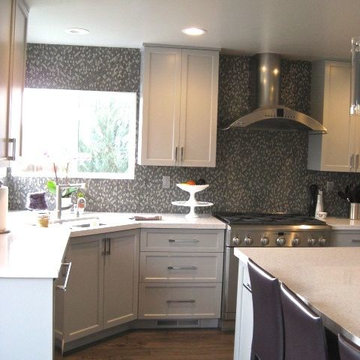 Fairfield, CA contemporary grey kitchen