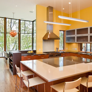 Example of a minimalist kitchen design in Minneapolis with an undermount sink, flat-panel cabinets and medium tone wood cabinets
