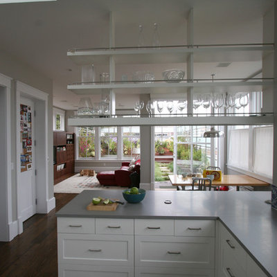 Kitchen - transitional kitchen idea in San Francisco with open cabinets