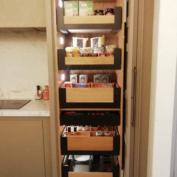Food larder with retractable door and pull out internal shelves
