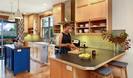 Houzz Tour: A High-Performance Craftsman Home With Modern Touches