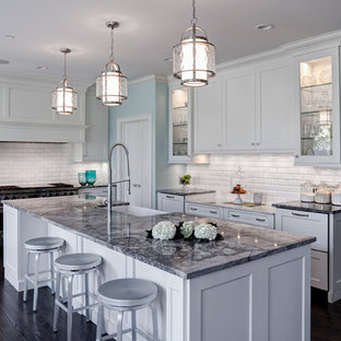 Traditional kitchen pictures - Kitchen - traditional kitchen idea in Chicago with a farmhouse sink