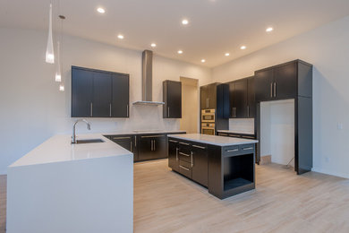 Example of a minimalist kitchen design in Other