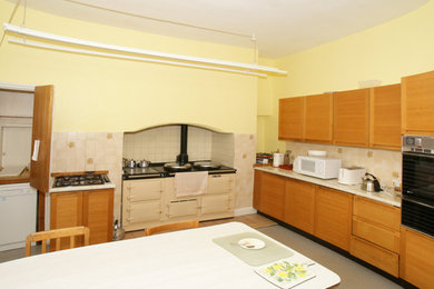 サクラメントにあるトランジショナルスタイルのおしゃれなアイランドキッチン (中間色木目調キャビネット、シルバーの調理設備、ベージュキッチンパネル) の写真