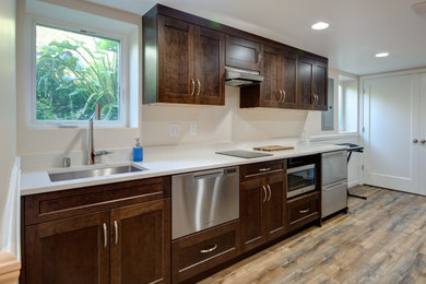 Genesee Basement Kitchen and Bath