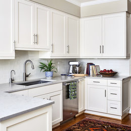 https://www.houzz.com/photos/georgetown-dc-kitchen-transitional-kitchen-dc-metro-phvw-vp~151673770