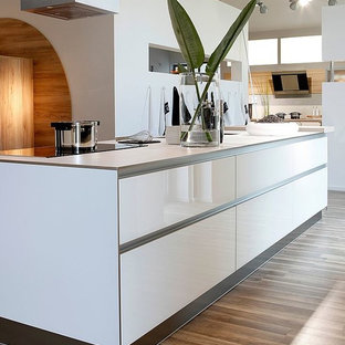German Kitchen Cabinet | Houzz