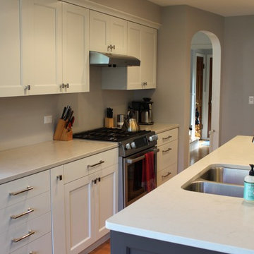 Gleaming White Cabinets