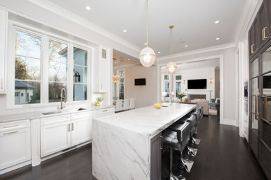 Kitchen - transitional kitchen idea in Chicago