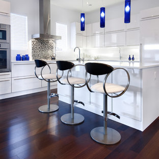 Imagen de cocina minimalista con electrodomésticos con paneles
