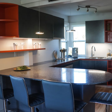 Grand Bend, ON | Modern Cottage Kitchen- Steel & Orange Lacquer