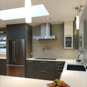 Grant Park Contemporary Kitchen Remodel