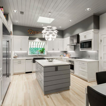Gray and White Modern Kitchen