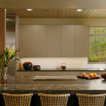 Great Falls, Virginia - Contemporary - Kitchen with Outdoor View